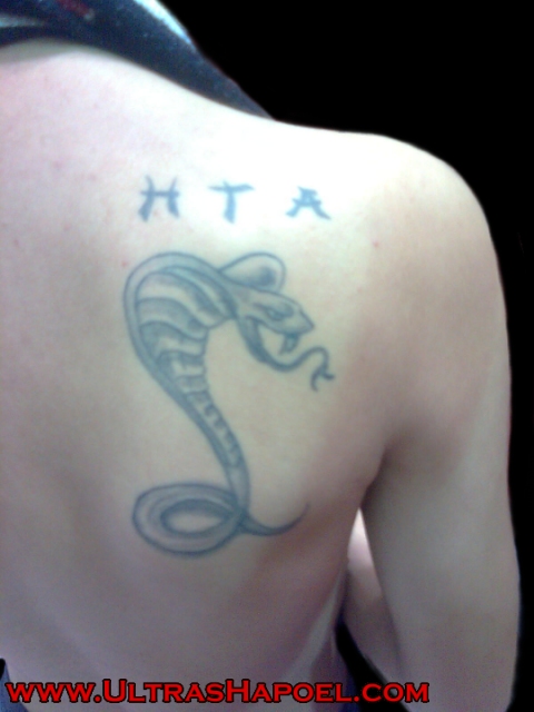 נחש + HTA, בכתף 
